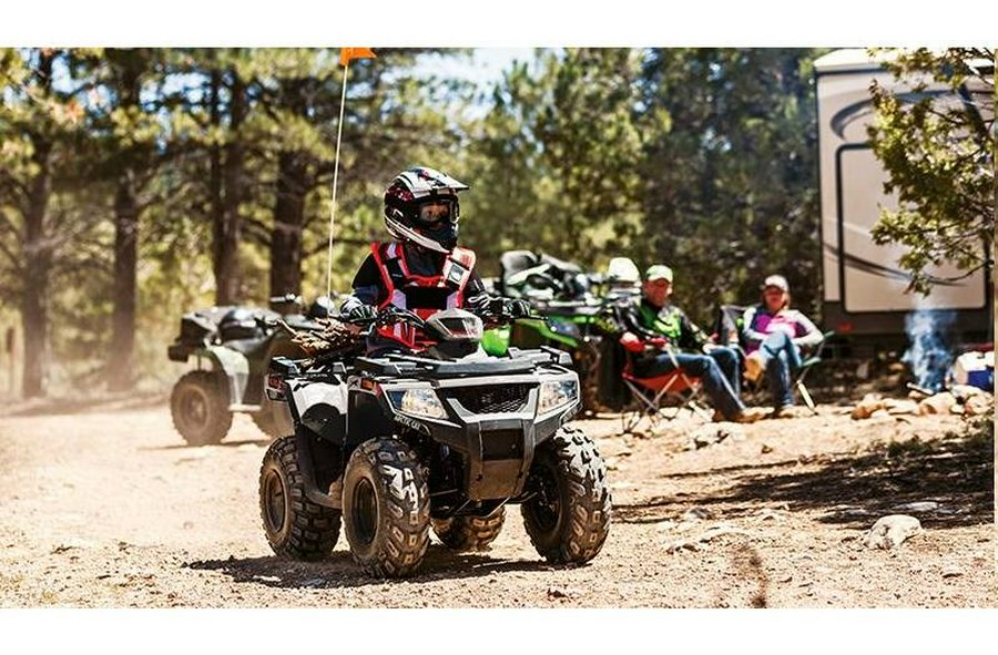 2022 Arctic Cat Alterra 90 2x4