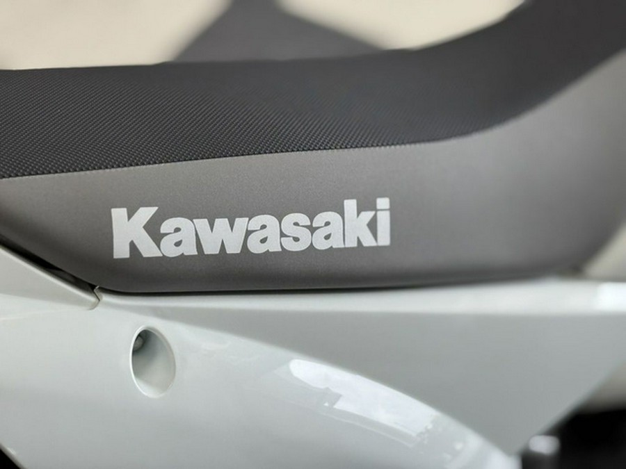 2026 Kawasaki KLX 110R