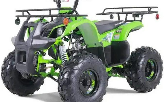 2025 Tao Motor TForce 125