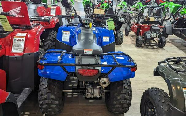 New 2023 HONDA FOURTRAX RECON BASE