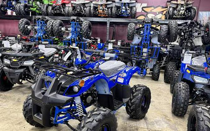 2025 Tao Motor TForce 125