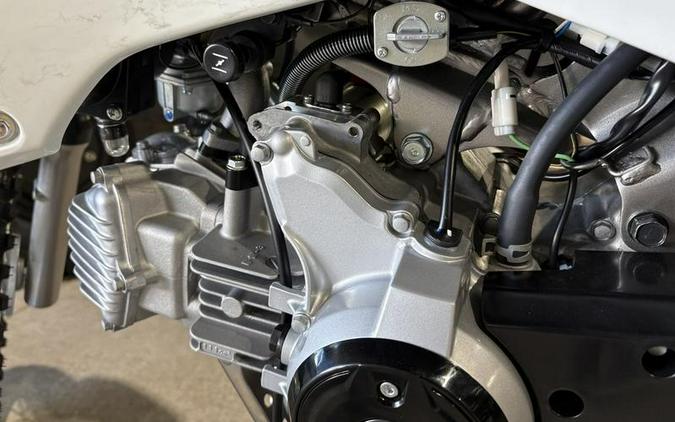 2026 Kawasaki KLX®110R