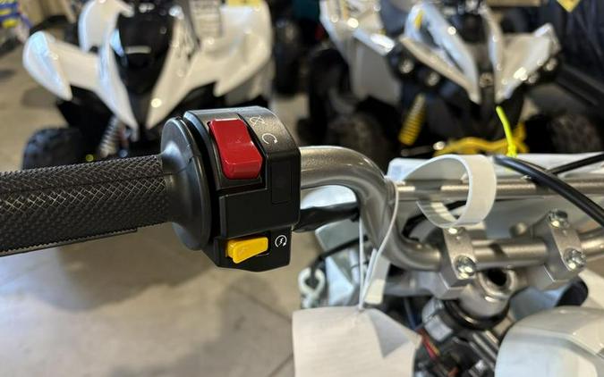 2026 Kawasaki KLX®110R