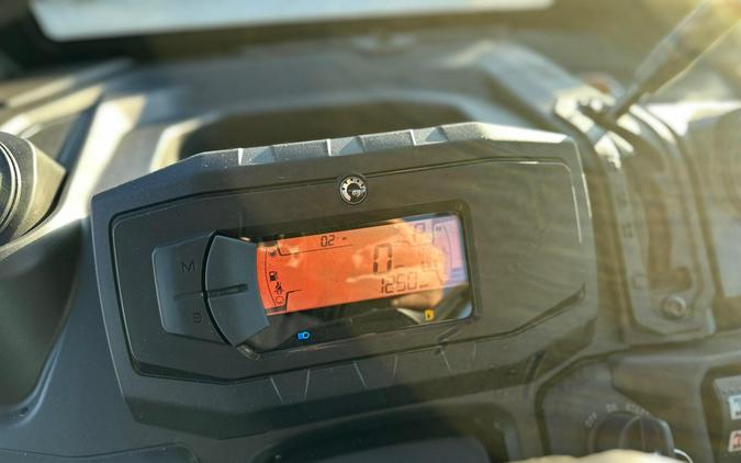 2026 Can-Am Defender DPS CAB HD10