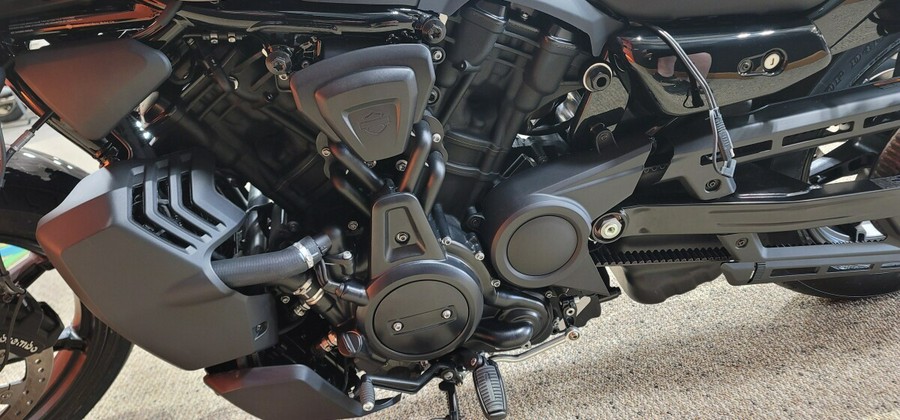 2025 Harley-Davidson® Nightster® Billiard Gray