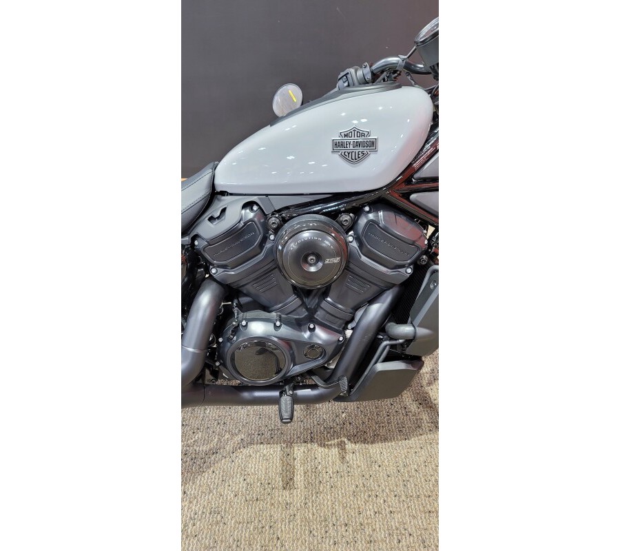 2025 Harley-Davidson® Nightster® Billiard Gray