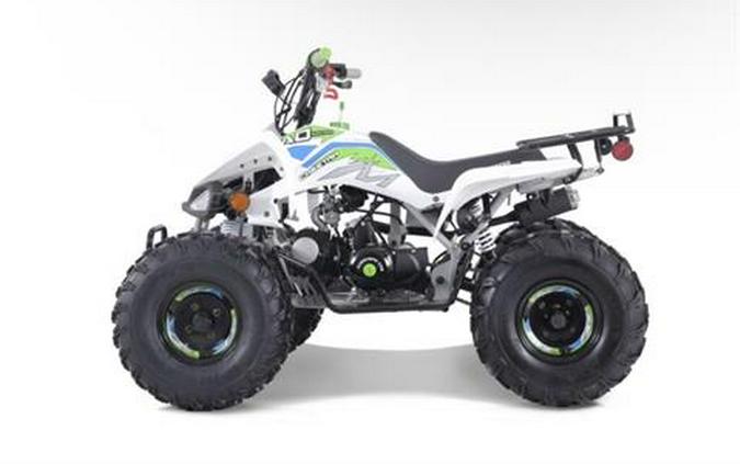 2024 Tao Tao Cheetah