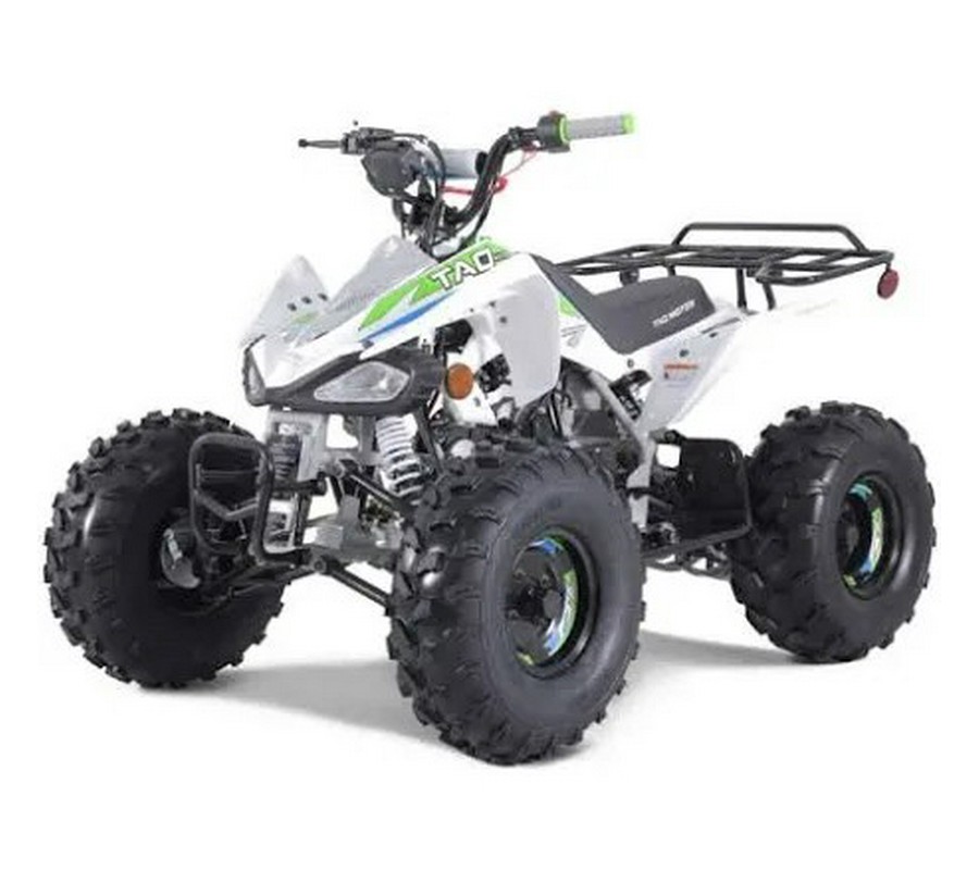 2024 Tao Tao Cheetah