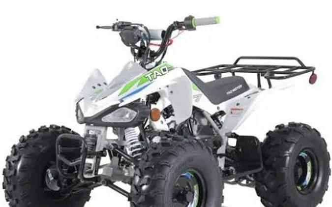 2024 Tao Tao Cheetah