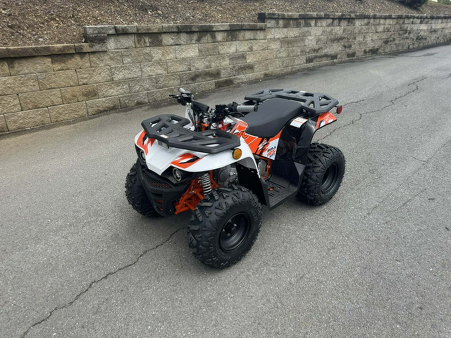2026 Kayo Bull 125 EFI