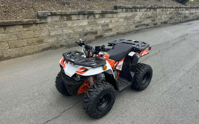 2026 Kayo Bull 125 EFI