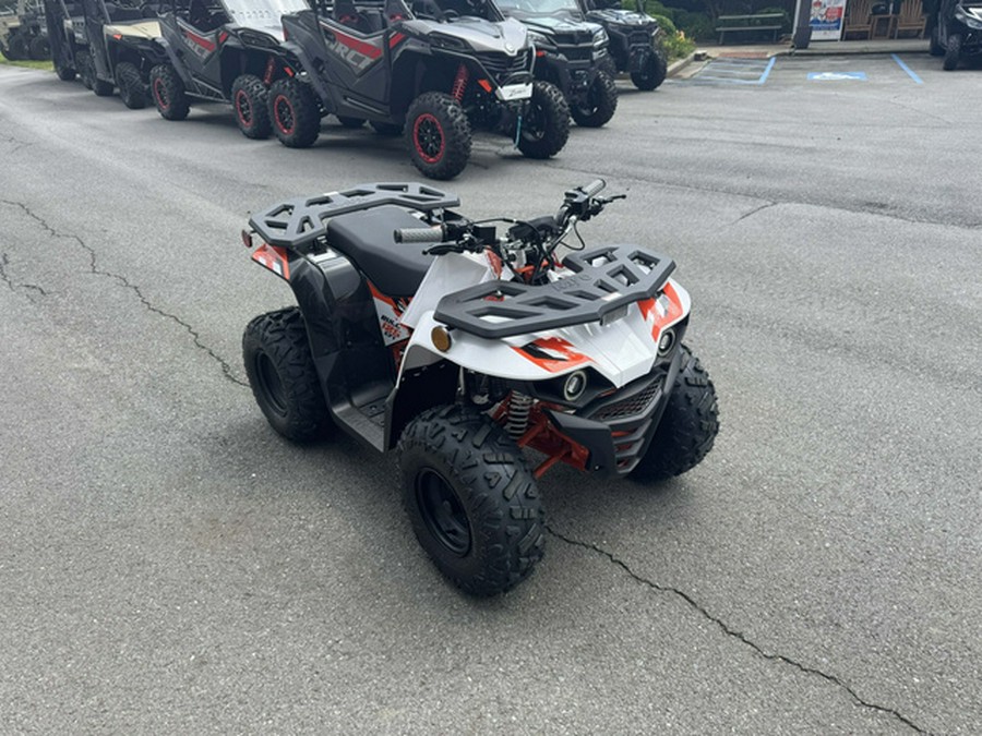 2026 Kayo Bull 125 EFI