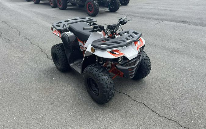 2026 Kayo Bull 125 EFI