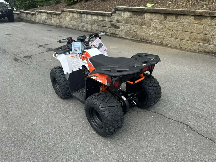 2026 Kayo Bull 125 EFI