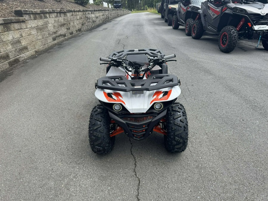2026 Kayo Bull 125 EFI