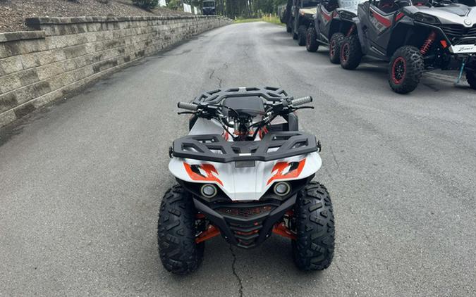 2026 Kayo Bull 125 EFI