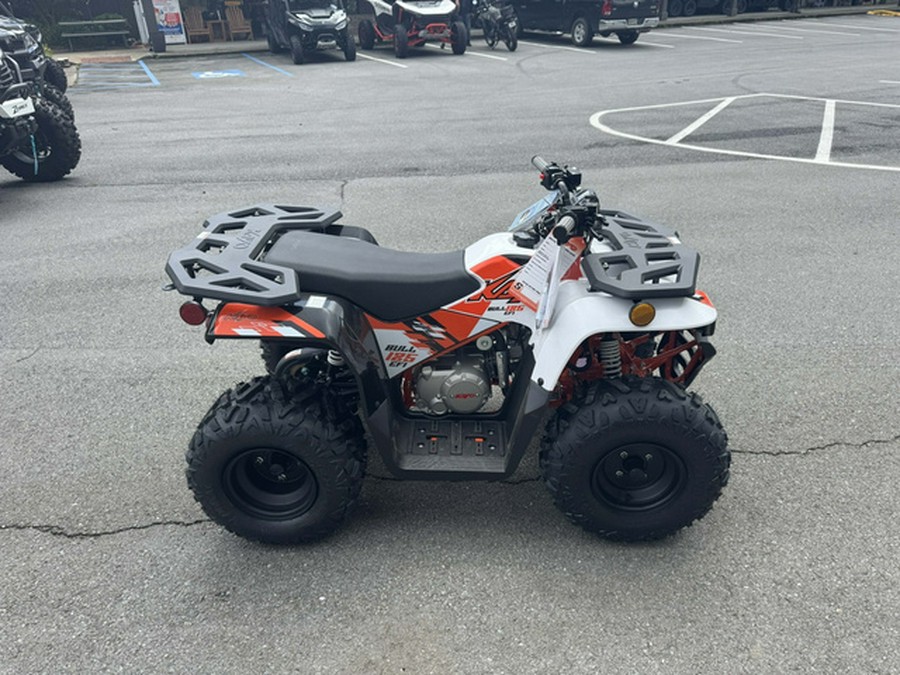 2026 Kayo Bull 125 EFI