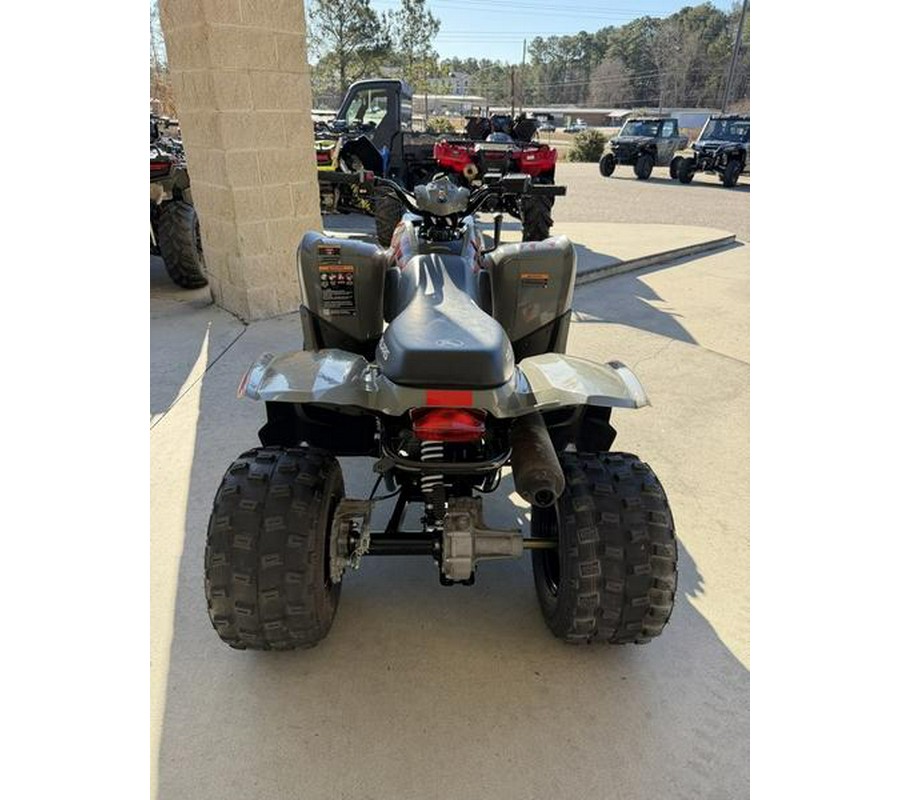 2022 Polaris® Phoenix 200