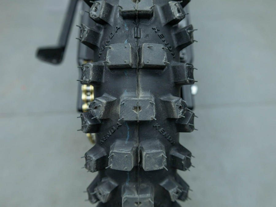 2025 E RIDE PRO MINI