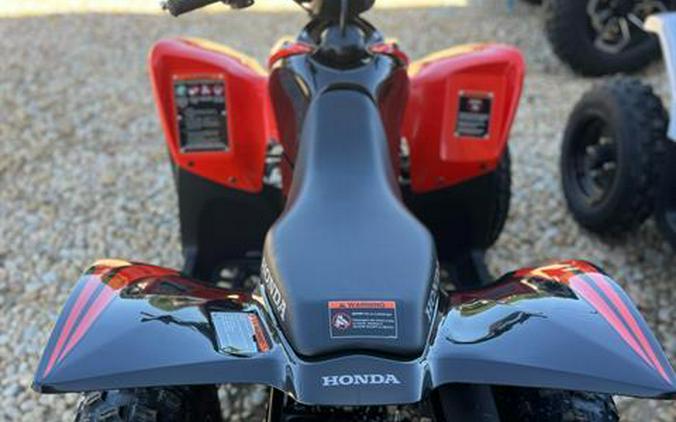 2024 Honda TRX90X