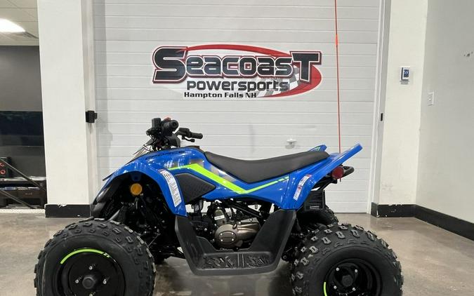 2024 CFMoto CForce 110