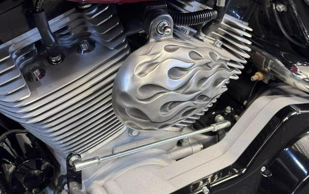 2006 Harley-Davidson® FLTRI - Road Glide®