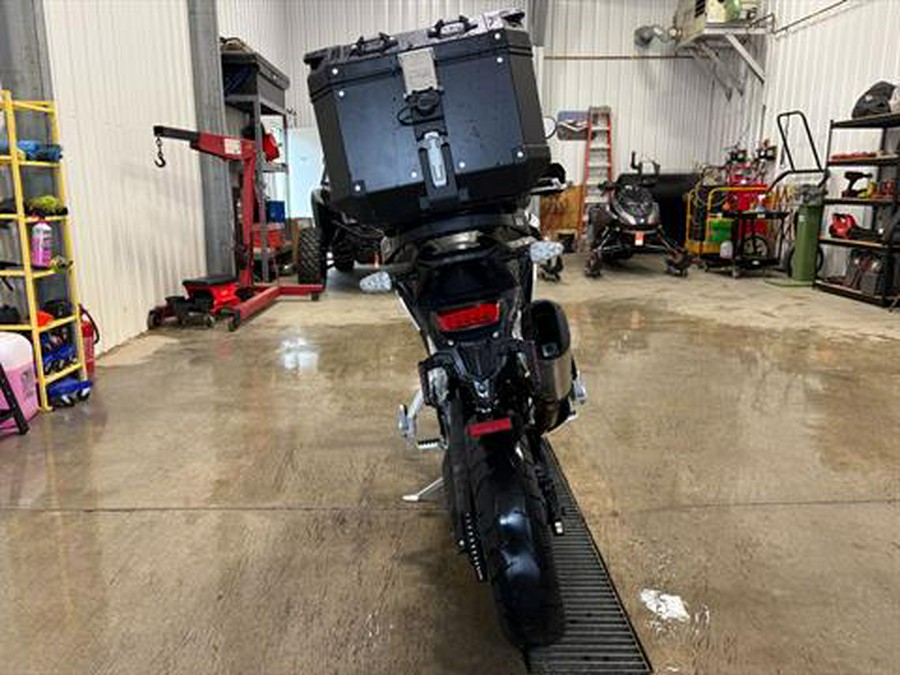 2022 Triumph Tiger 900 Rally