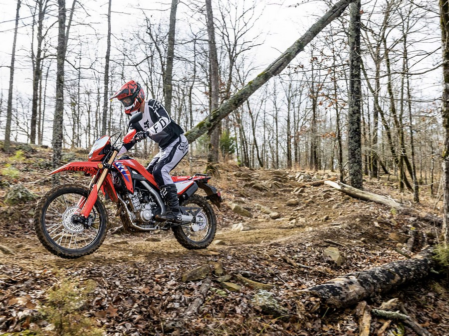 2025 Honda CRF300L ABS