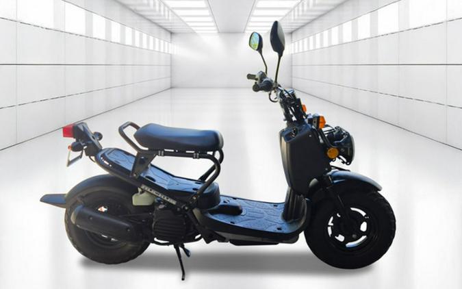 2009 Honda Ruckus Base
