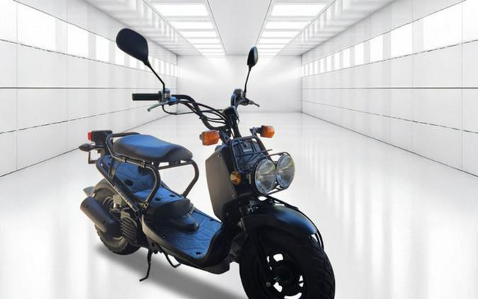 2009 Honda Ruckus Base