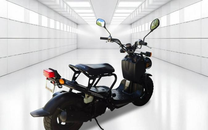 2009 Honda Ruckus Base