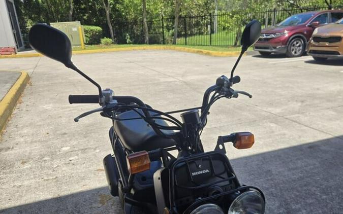 2009 Honda Ruckus Base