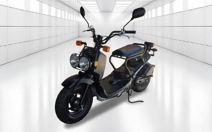 2009 Honda Ruckus Base