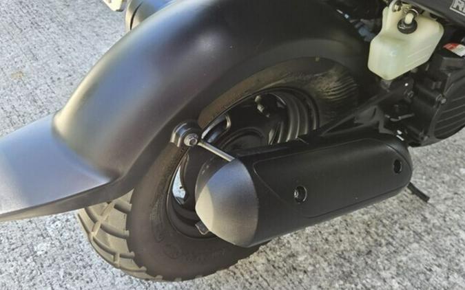 2009 Honda Ruckus Base