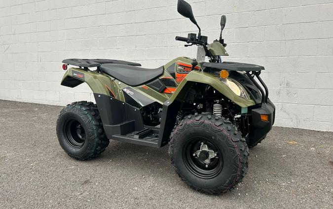 2024 Kayo NEW! Bull 300 EFI [Age 14+]