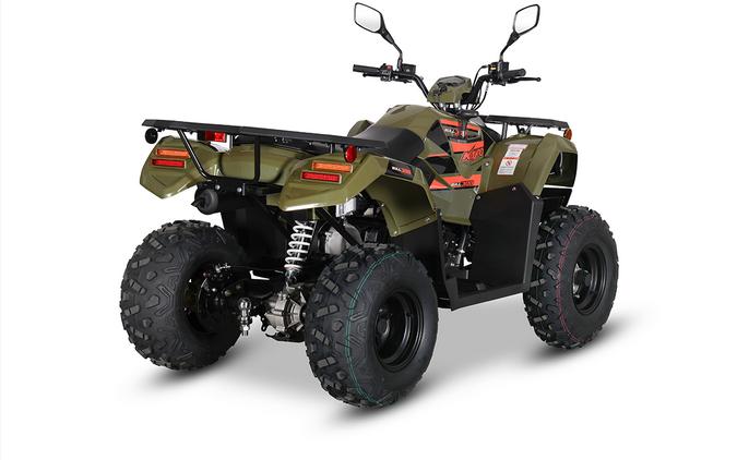 2024 Kayo NEW! Bull 300 EFI [Age 14+]