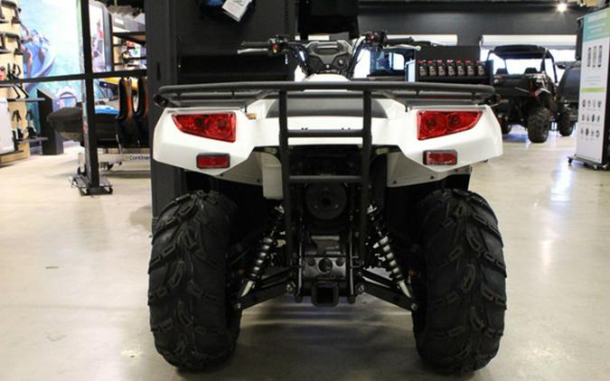 2025 Kawasaki Brute Force 450 4x4