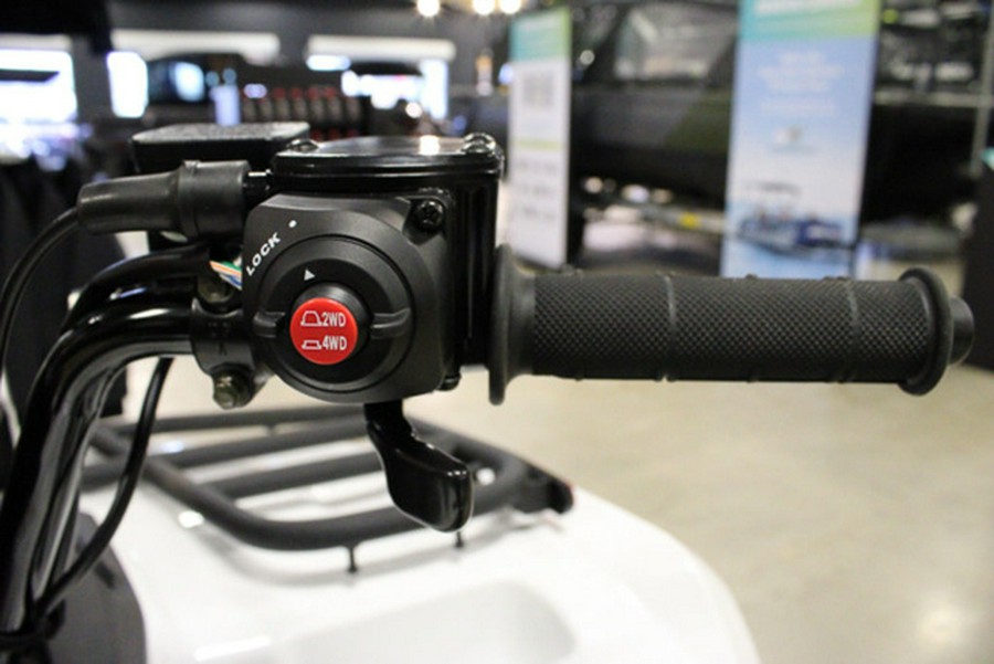 2025 Kawasaki Brute Force 450 4x4