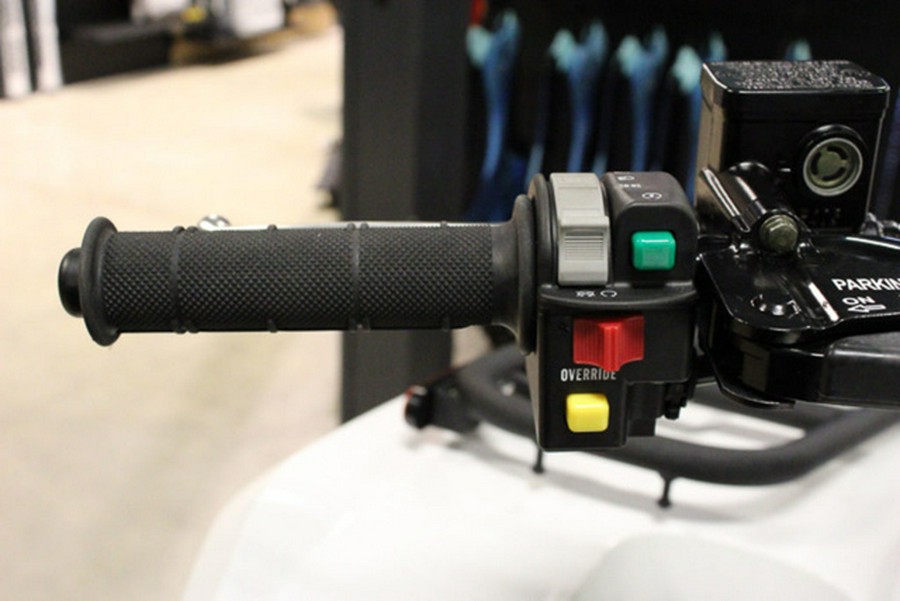 2025 Kawasaki Brute Force 450 4x4