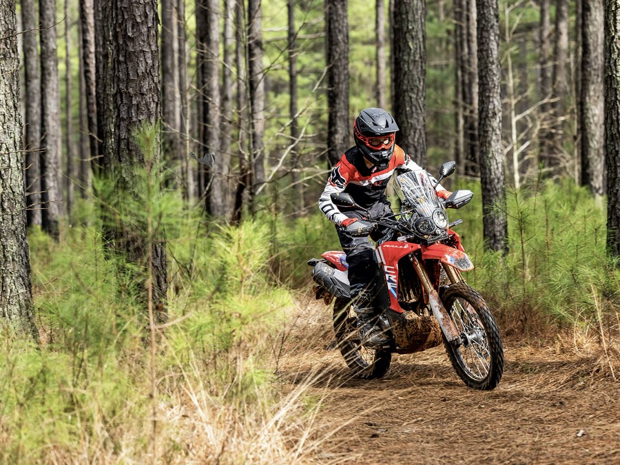 2025 Honda CRF300L Rally ABS