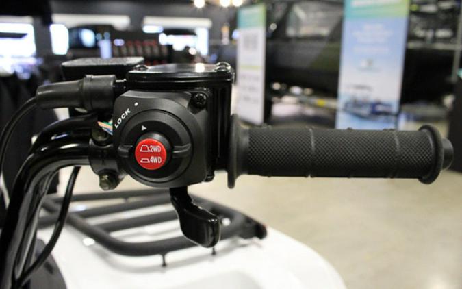 2025 Kawasaki Brute Force 450 4x4