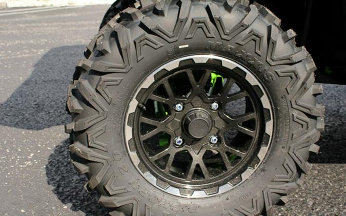 2025 Kawasaki Teryx4 S SE