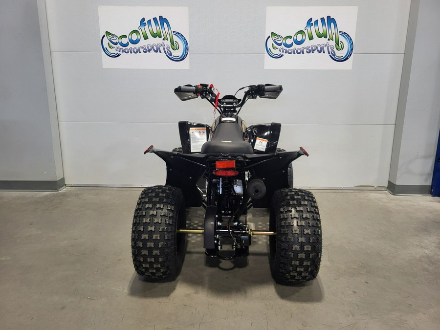 2026 BLP Drone 125 EFI