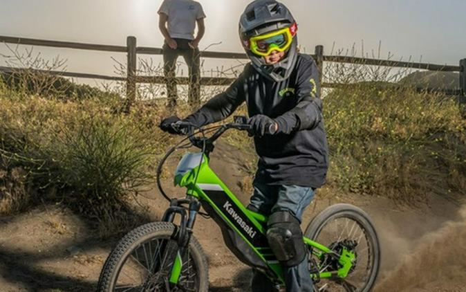 2026 Kawasaki Elektrode 20 - Lime Green