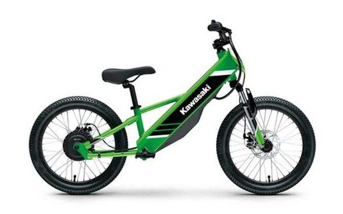 2026 Kawasaki Elektrode 20 - Lime Green