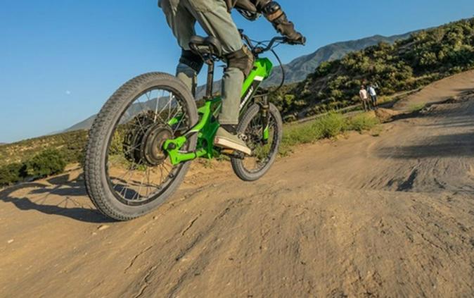 2026 Kawasaki Elektrode 20 - Lime Green