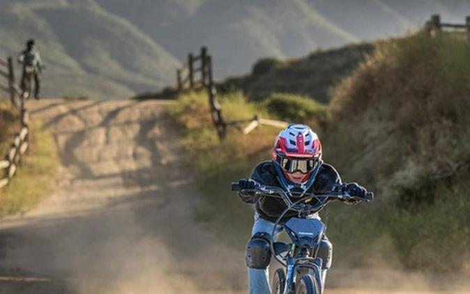 2026 Kawasaki Elektrode 20 - Black