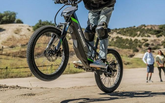 2026 Kawasaki Elektrode 20 - Black
