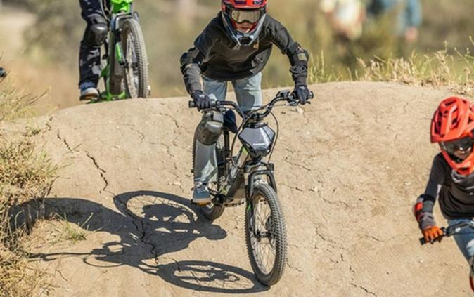 2026 Kawasaki Elektrode 20 - Black