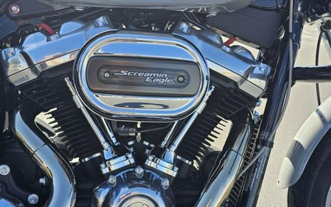 2024 Harley-Davidson® FXST - Softail® Standard